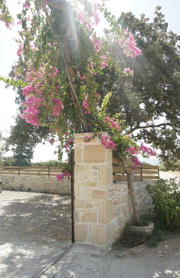 Studio Panagiota - Oasis Holiday Houses Kokkinos Pyrgos Dış mekan fotoğraf