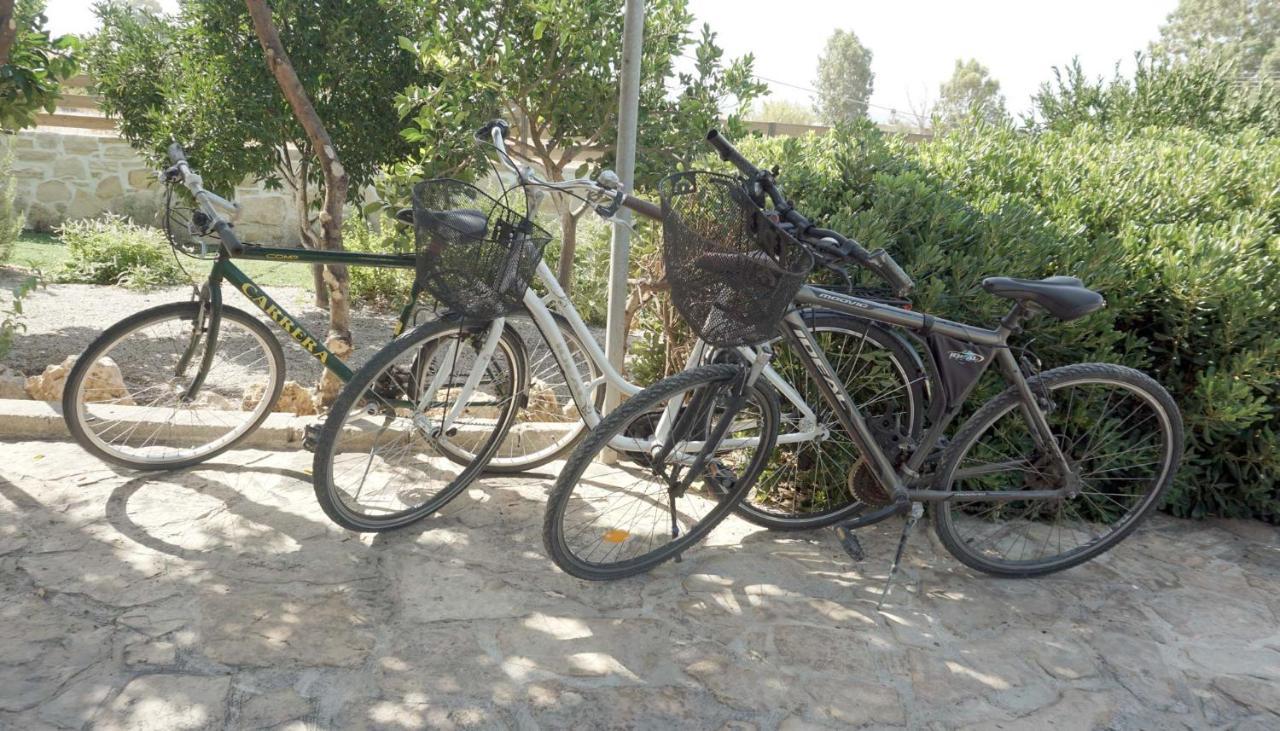 Studio Panagiota - Oasis Holiday Houses Kokkinos Pyrgos Dış mekan fotoğraf