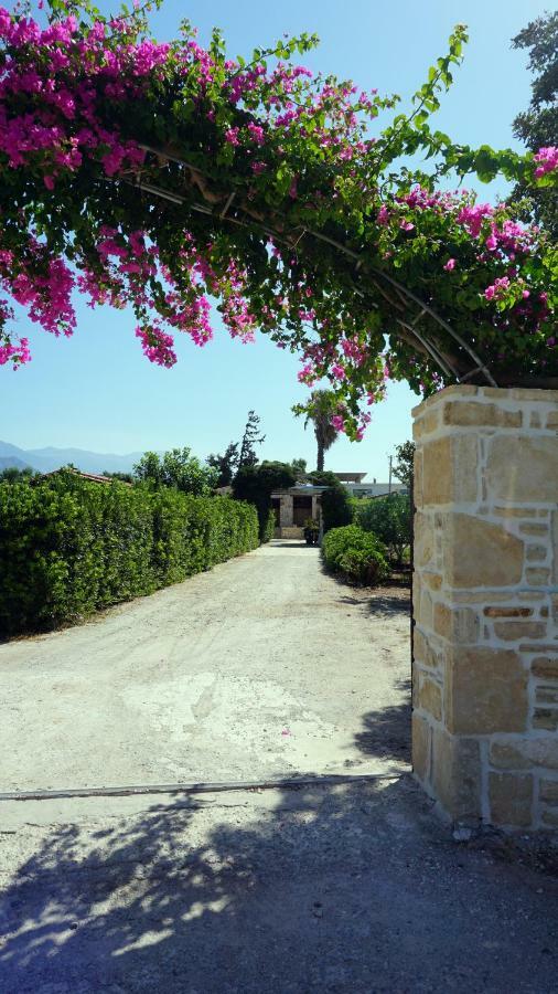 Studio Panagiota - Oasis Holiday Houses Kokkinos Pyrgos Dış mekan fotoğraf